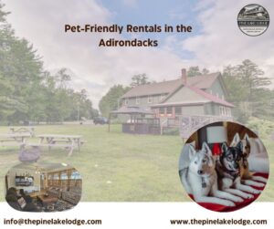 pet-friendly-rentals-in-Adirondacks